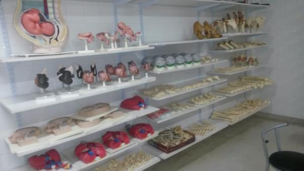 Alunosdo curso técnico em farmácia realizam visita técnica ao laboratório de anatomia da FADAP